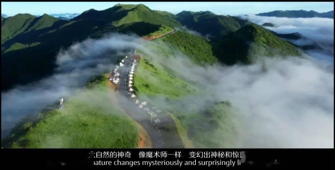 怎么从社恐变成社牛？